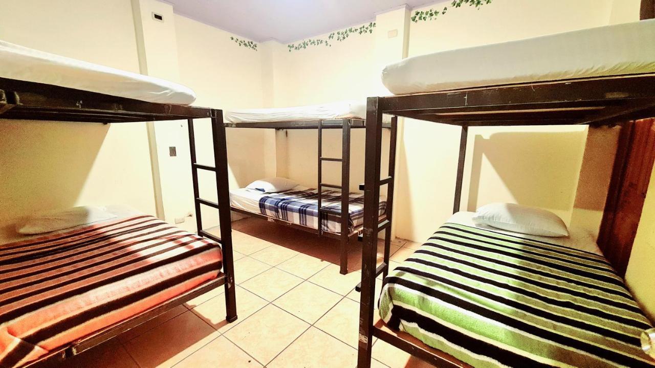 Eco Hotel Puerto Urbano 436 サンホセ エクステリア 写真