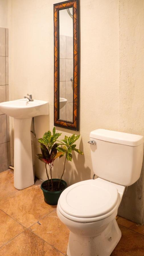 Eco Hotel Puerto Urbano 436 サンホセ エクステリア 写真